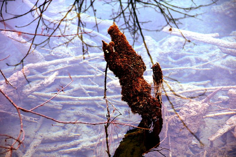 _mg_5701.jpg