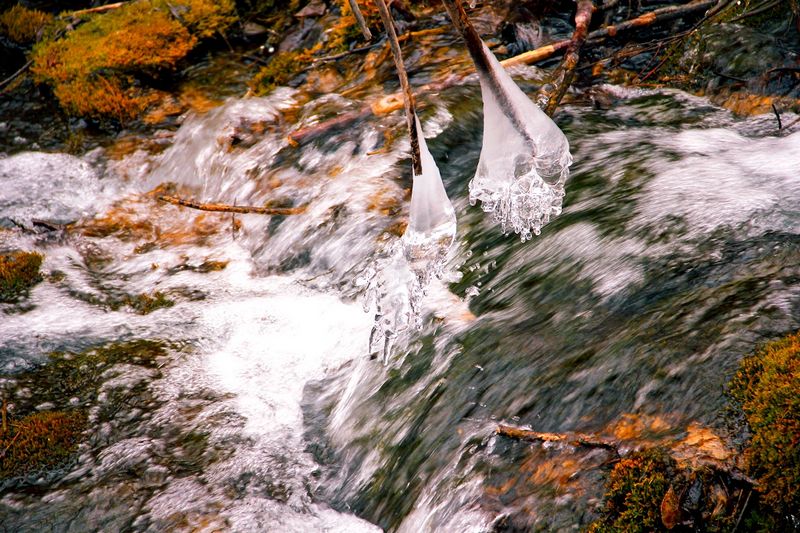 _mg_5717.jpg