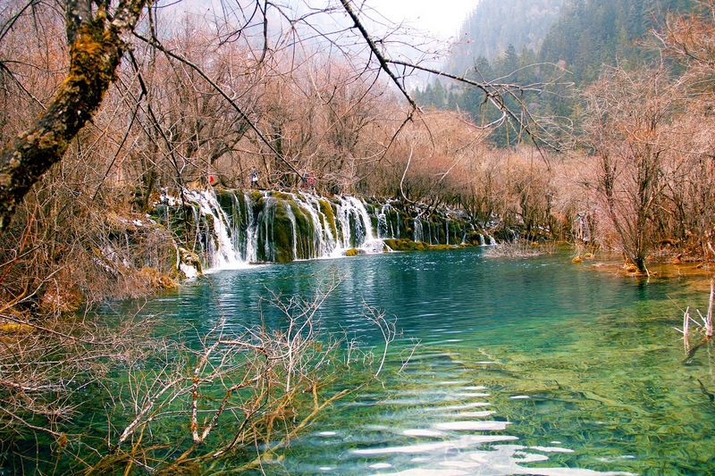 _mg_5723.jpg