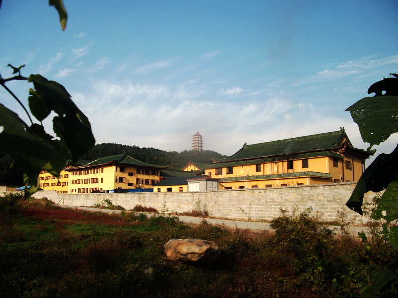 dscf0293.jpg