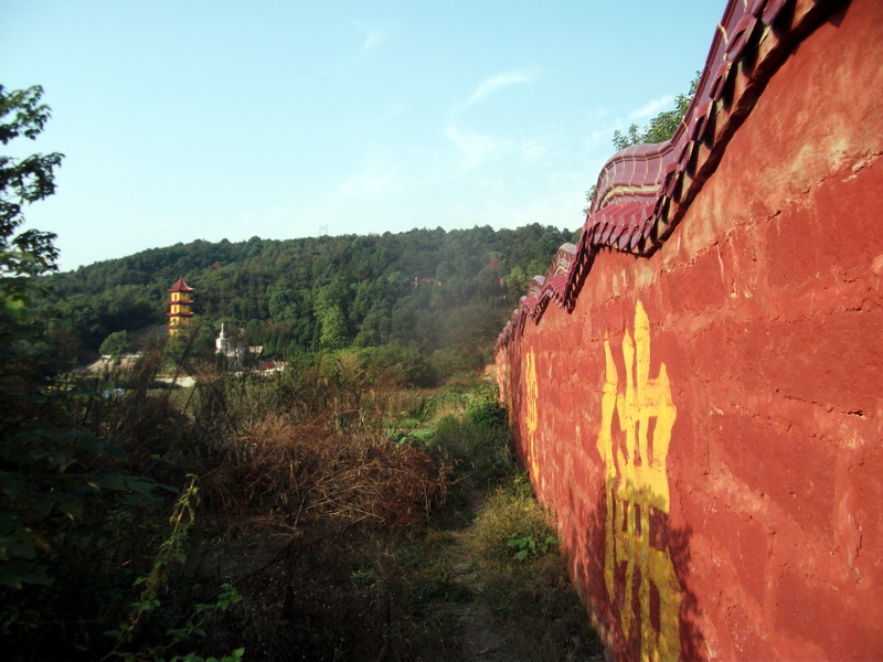 dscf0295.jpg