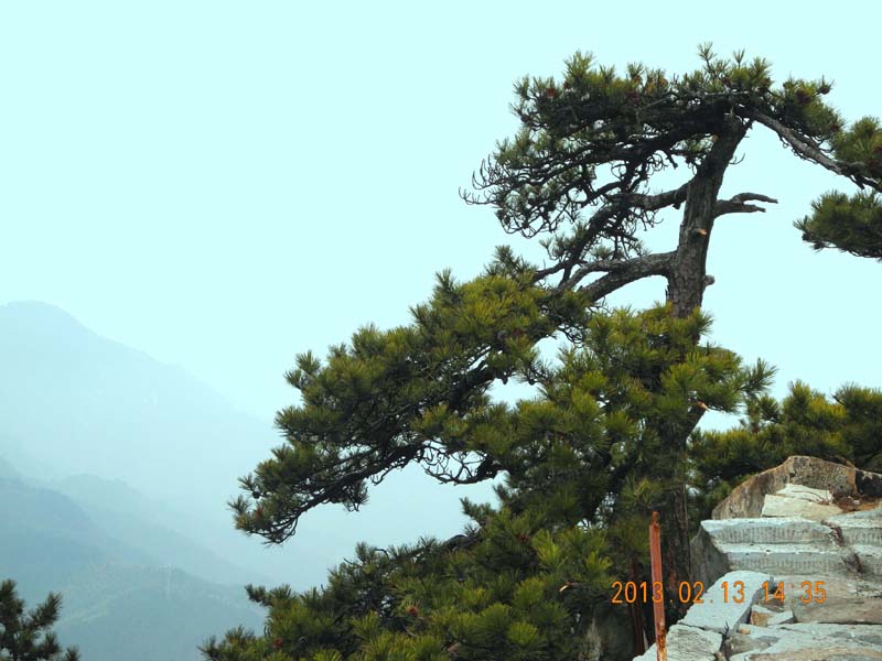 dscn3451.jpg