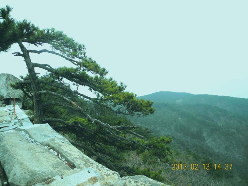 dscn3460.jpg