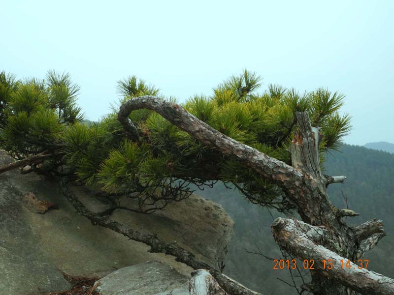 dscn3462.jpg
