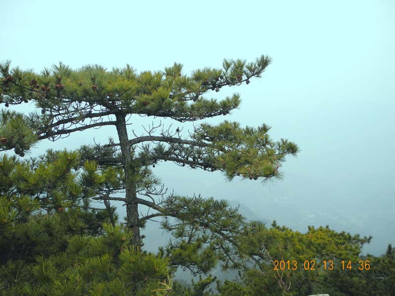 dscn3456.jpg