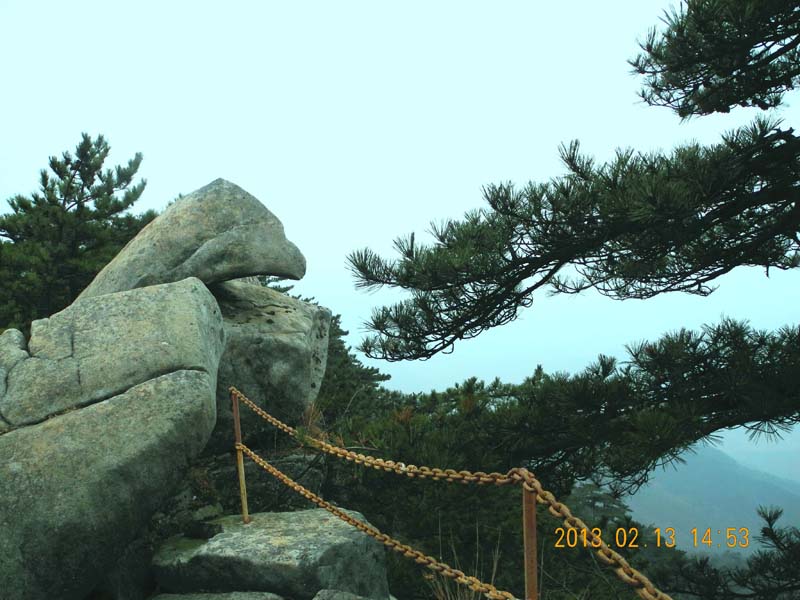 dscn3514.jpg