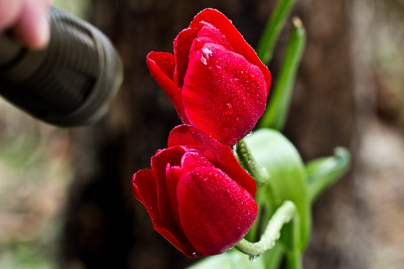 img_6139_СС.jpg