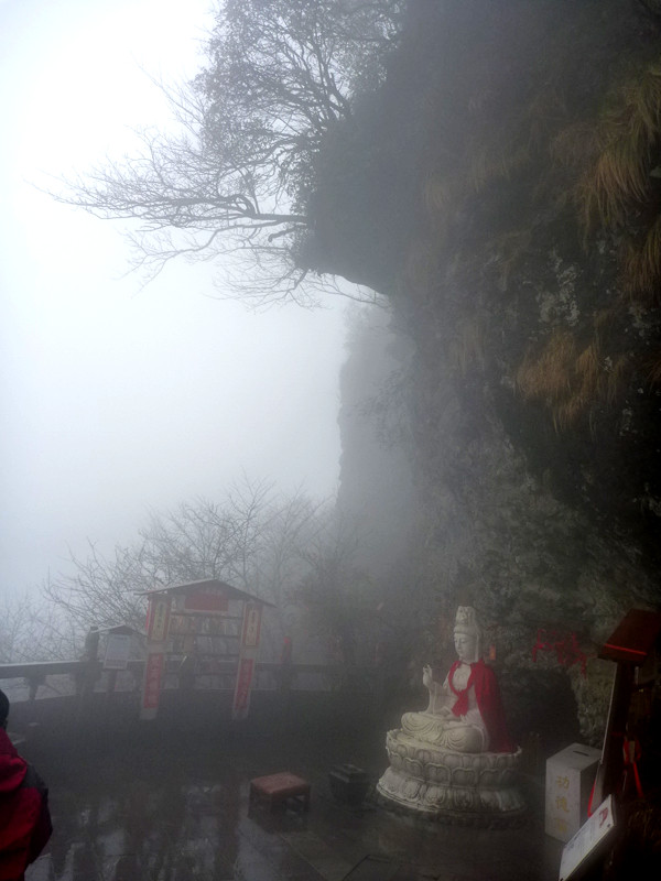p1140090_.jpg
