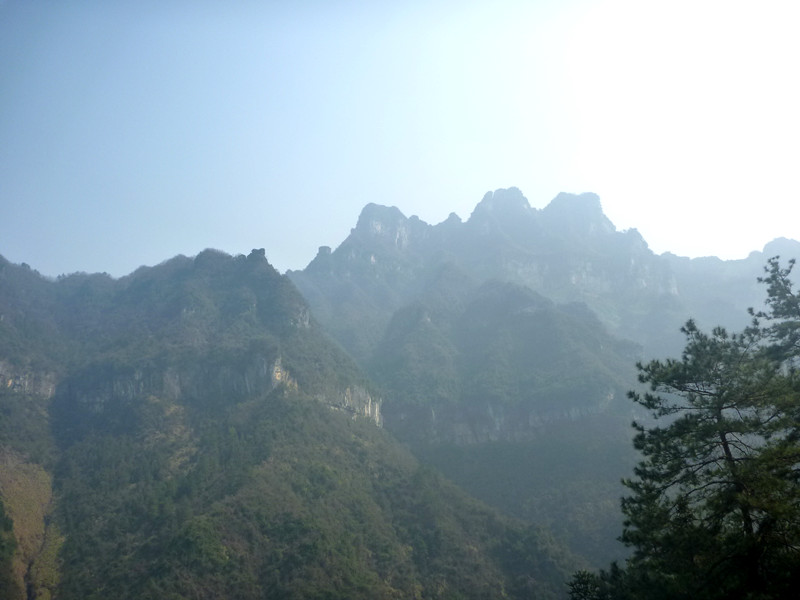 p1140161_.jpg