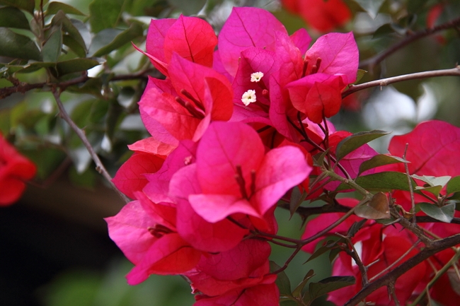 neo_img_dpp_20242.jpg