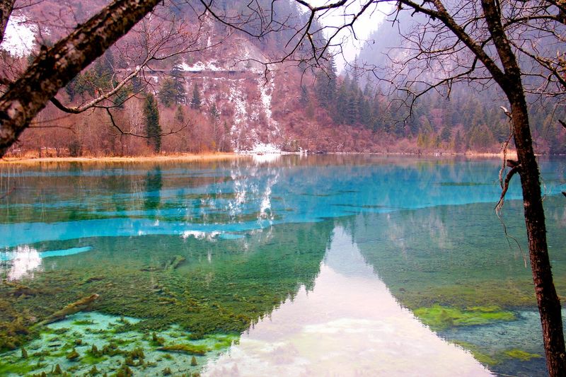 _mg_6018.jpg