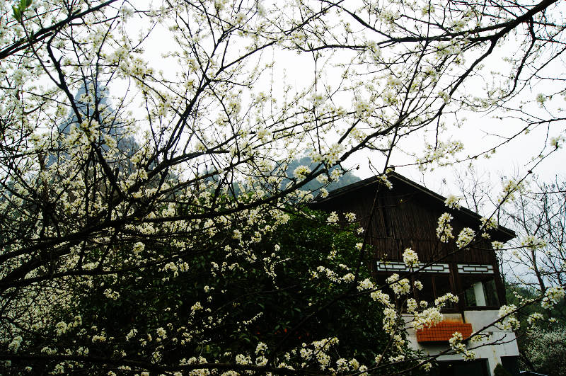 dsc09535.jpg
