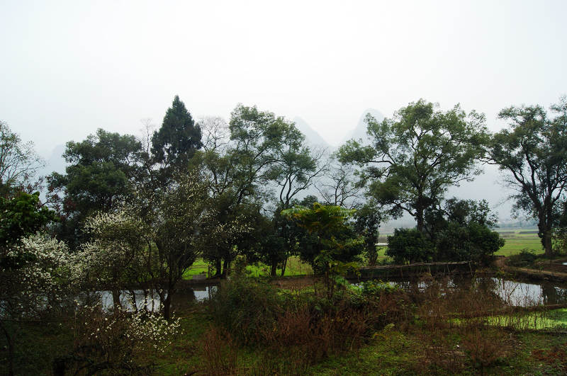 dsc09551.jpg