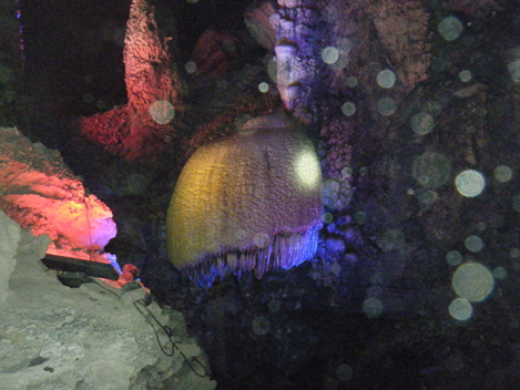 dscf4994.jpg