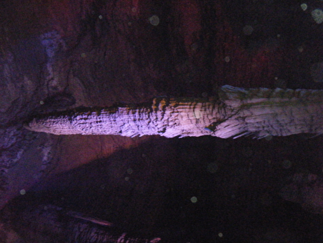 dscf4997.jpg