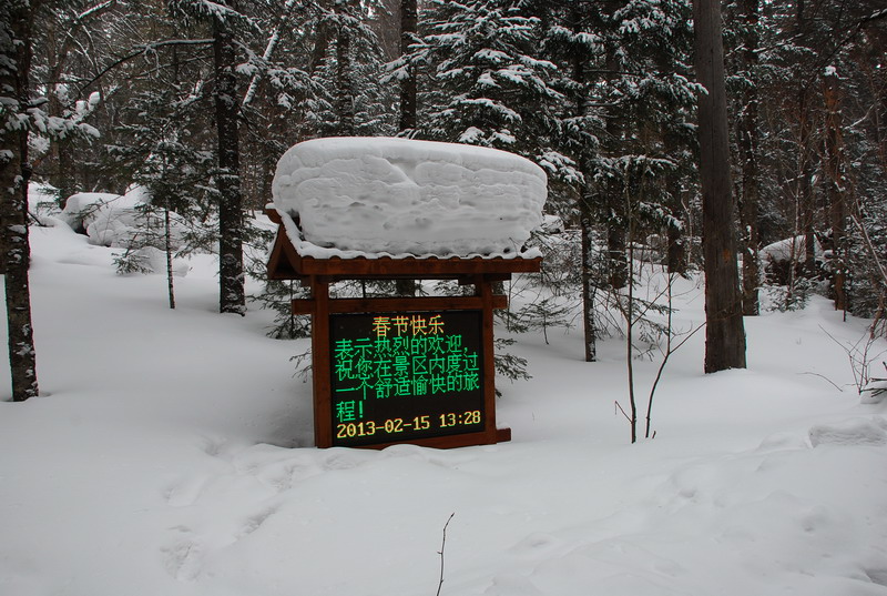 dsc_4836.jpg