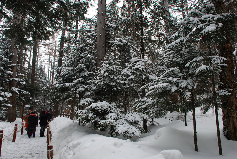 dsc_4837.jpg