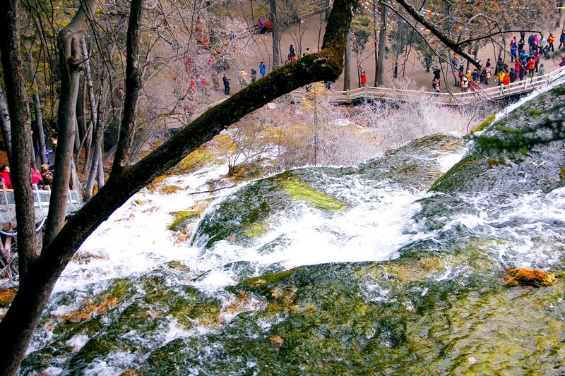 _mg_6199.jpg