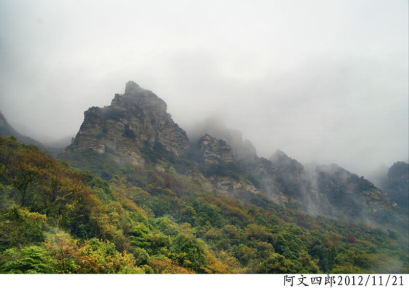 dsc8378.jpg
