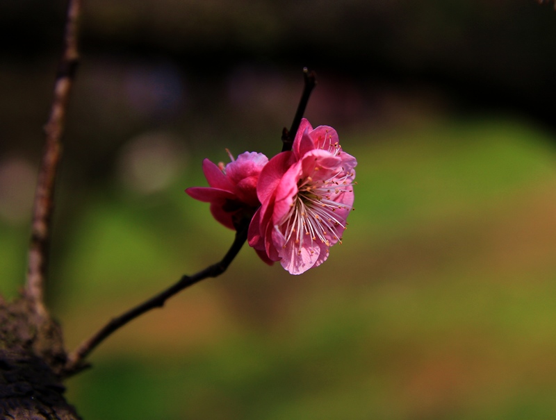 img_3755.jpg