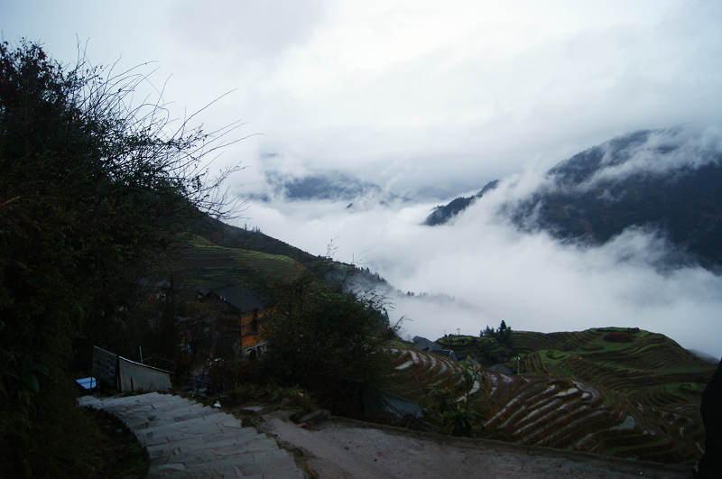 dsc09768.jpg
