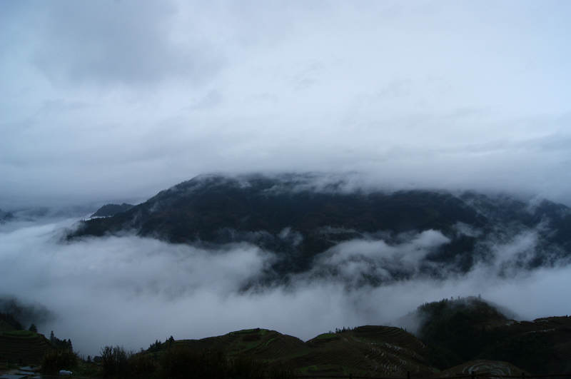dsc09789.jpg