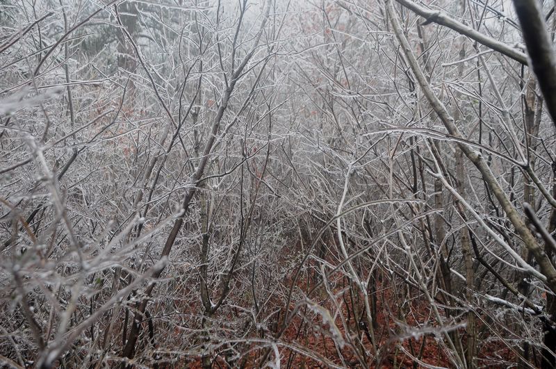 dsc_0086.jpg