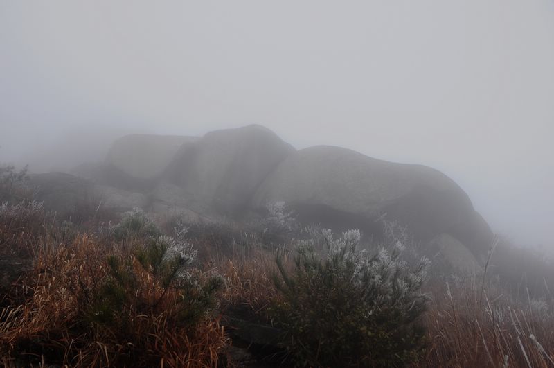 dsc_0114.jpg