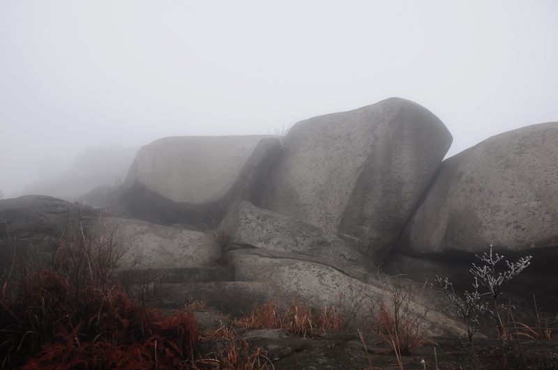 dsc_0115.jpg