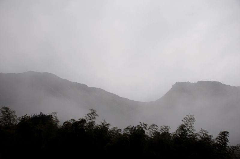 dsc_0130.jpg
