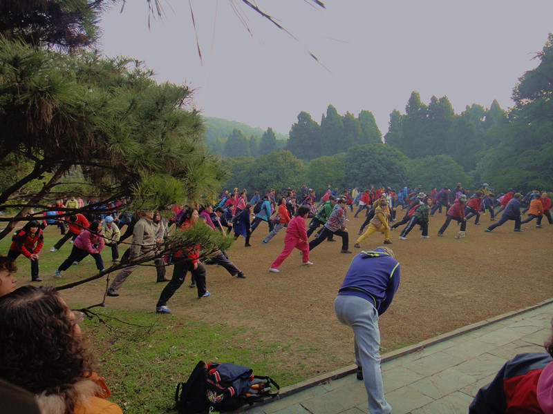dsc08616_.jpg