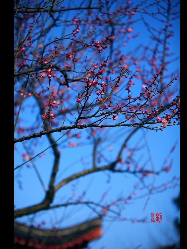neo_img_img_9240.jpg