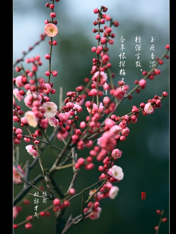 neo_img_img_9337.jpg