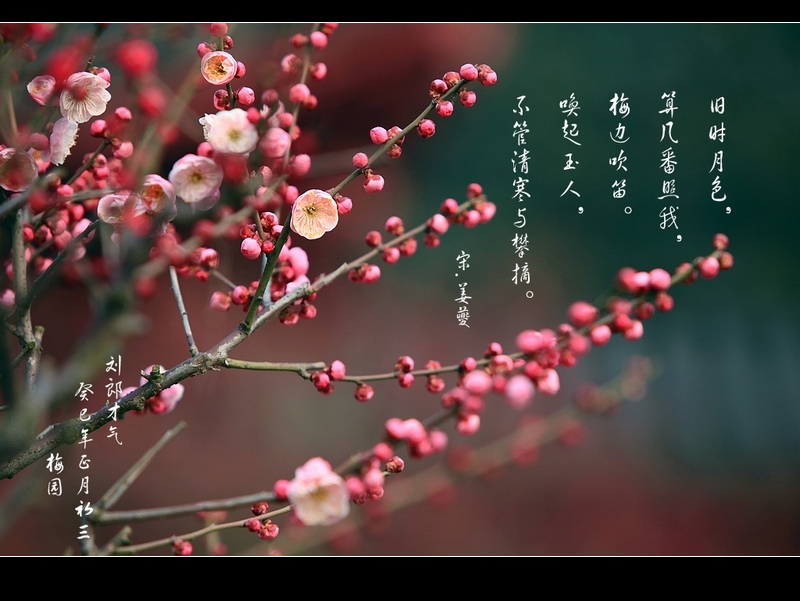neo_img_img_9340.jpg