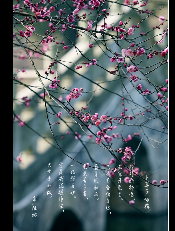 neo_img_img_9684.jpg
