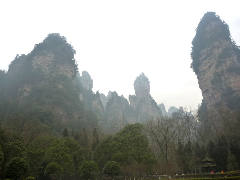 p1140248_.jpg