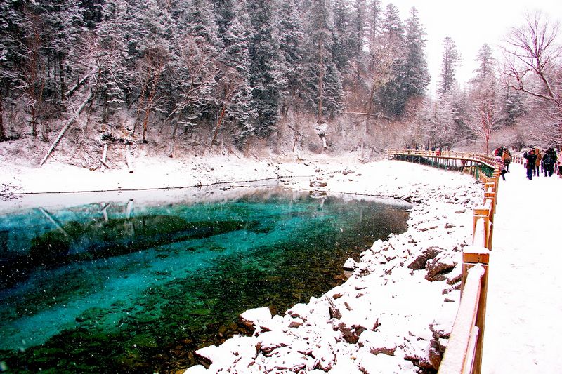 _mg_6487.jpg