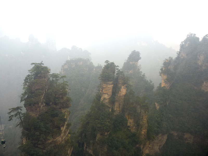 p1140252_.jpg