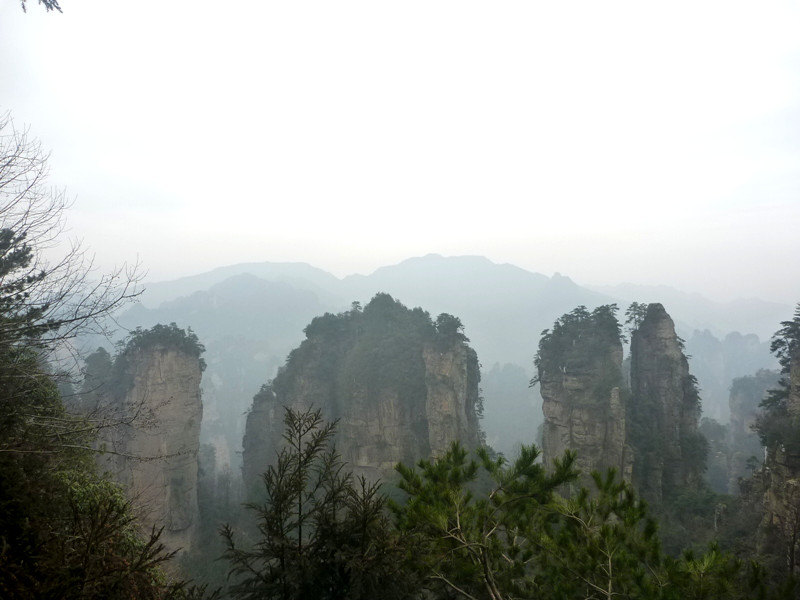 p1140253_.jpg