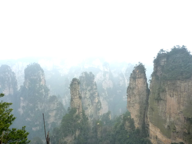p1140272_.jpg
