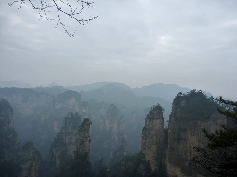 p1140277_.jpg
