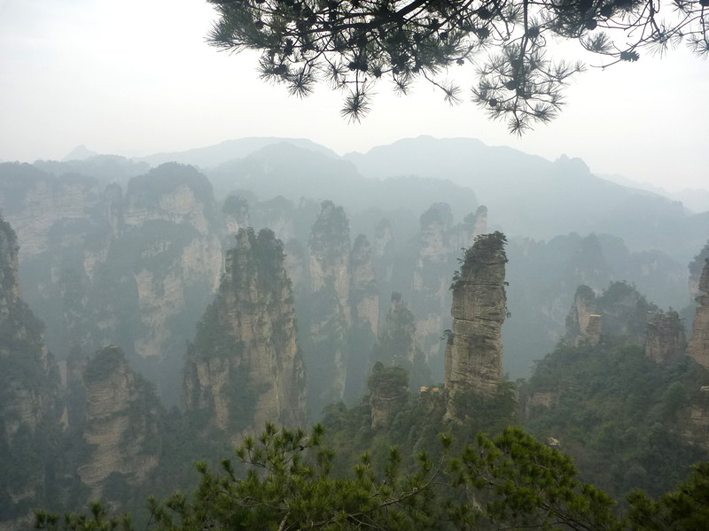 p1140280_.jpg
