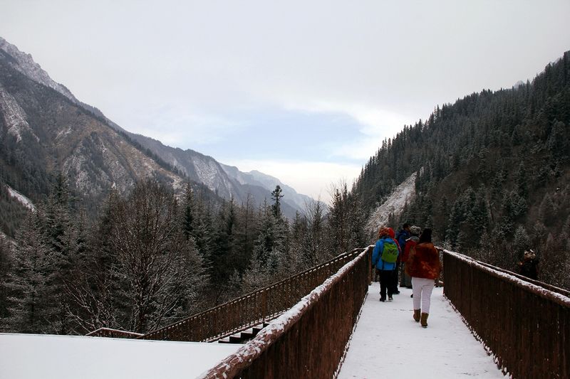 _mg_6598.jpg