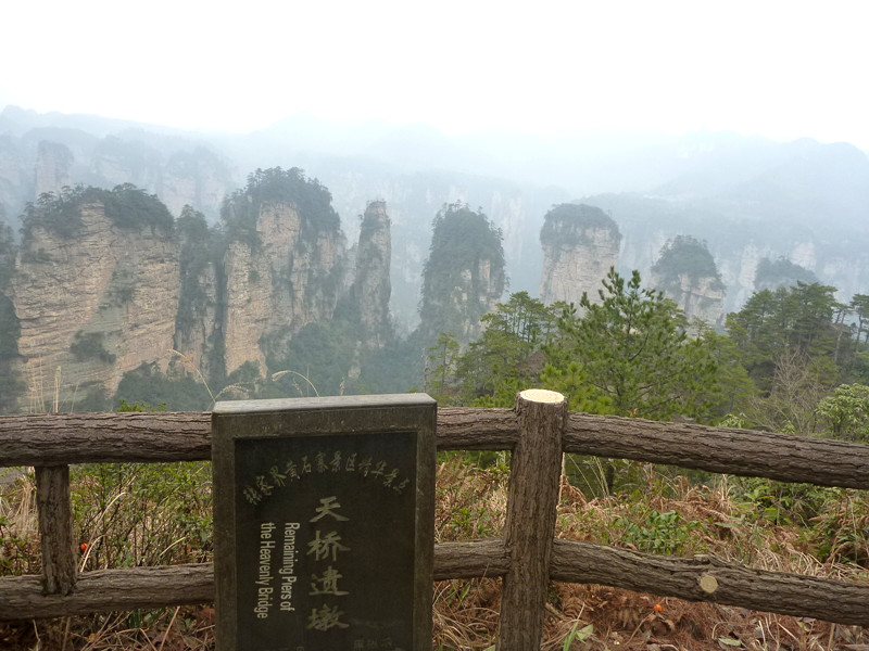 p1140285_.jpg