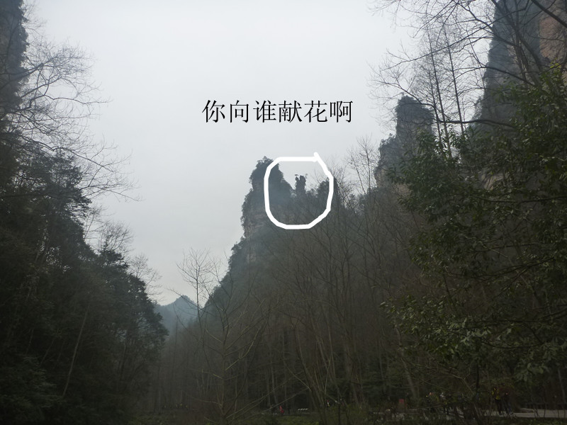 p1140309__.jpg