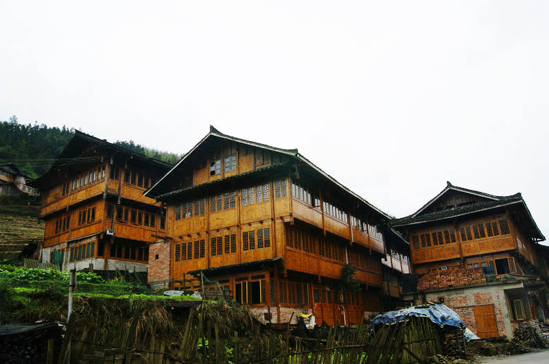 dsc09876.jpg