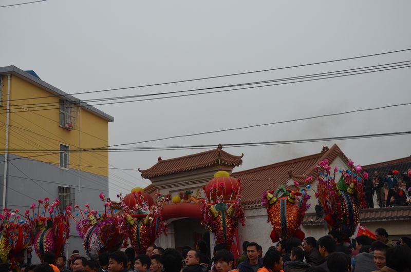 dsc_0502a.jpg