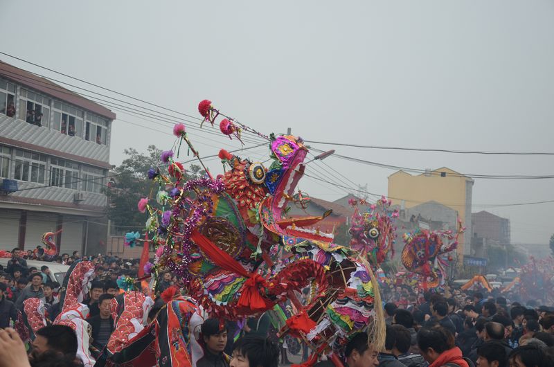 dsc_0529a.jpg