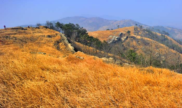 _dsc6752.jpg
