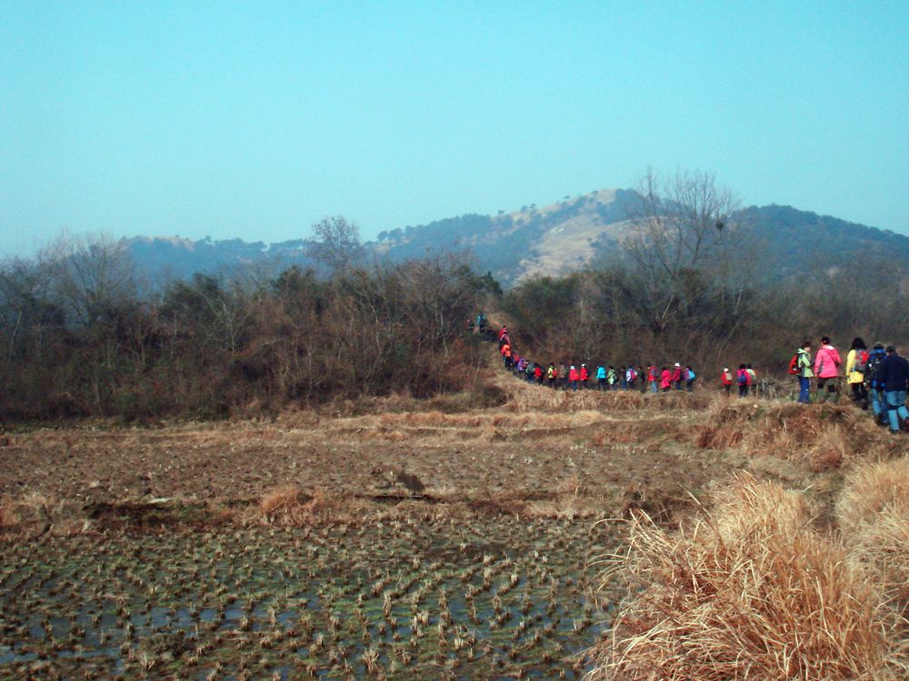 dsc01737.jpg
